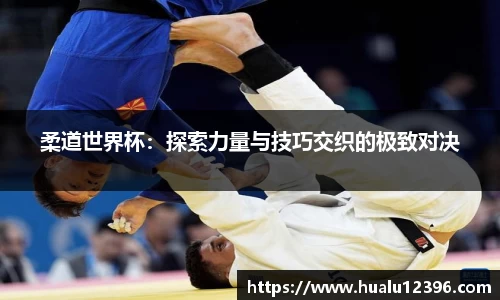 6686分析