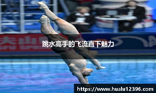 权威分析