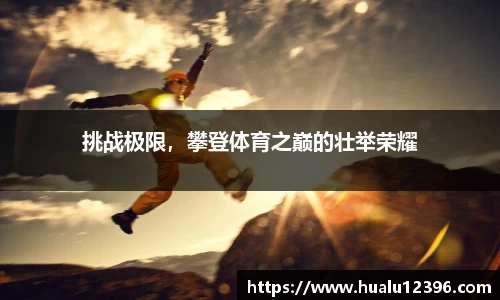 权威分析